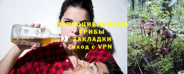 ПСИЛОЦИБИНОВЫЕ ГРИБЫ Армянск