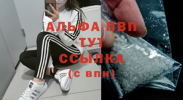 гашик Баксан