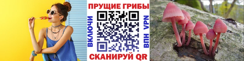 купить закладку  Нязепетровск  Псилоцибиновые грибы MAGIC MUSHROOMS 